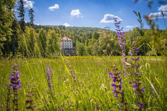 The Renaissance Snežnik Castle rises up among wild meadow flowers. Built in the 13th century, the fortress is surrounded by a 10,000-hectare nature park and is considered the best-preserved castle in Slovenia.