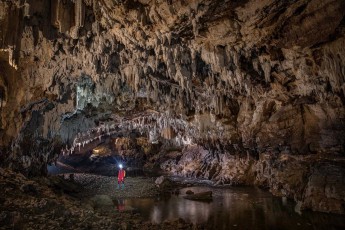 Stalagmites hang like fossilised teeth or spikes from the ceiling of this chamber of the Pivka Cave.