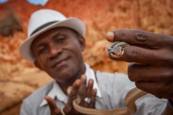 Guide Christian präsentiert stolz eine harmlose Katzennatter (Madagascarophis sp.) - die nachtaktiven Schlangen mit den charakteristischen vertikalen Pupillen sind eine der häufigsten Schlangenarten Madagaskars und werden von den Einheimischen "Marolambo" genannt, was "viele in der Höhle" bedeutet.