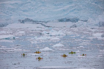 Wie bunte Tupfer gleiten Kajaks durch das Eismeer von Neko Harbour. Die gewaltigen Gletscherbrüche im Hintergrund verdeutlichen die Dimension – winzig wirken die Paddler vor der zerklüfteten Eiswand, die jeden Moment kalben könnte.