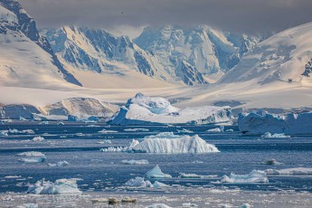 Paradise Bay macht ihrem Namen alle Ehre. Eisberge treiben wie weiße Inseln durch das tiefblaue Wasser, dahinter türmen sich schneebedeckte Gipfel in dramatischen Schichten im zarten Licht – ein Ort wie aus einer anderen Welt.
