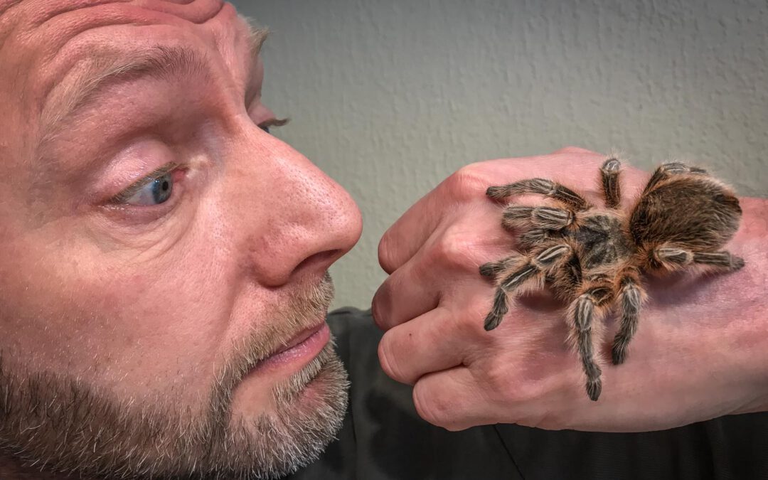 Spinnen, Schlangen, Kakerlaken – Meine Angstbewältigung
