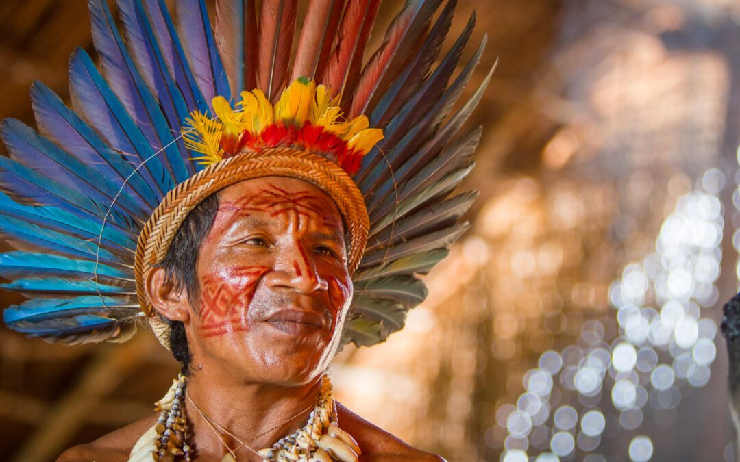 Amazonas – Rauf auf den Urwaldgiganten