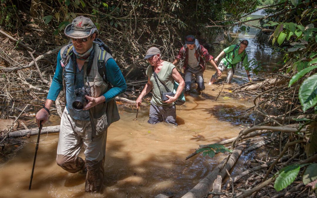 Indonesien – Herumtigern im Dschungel