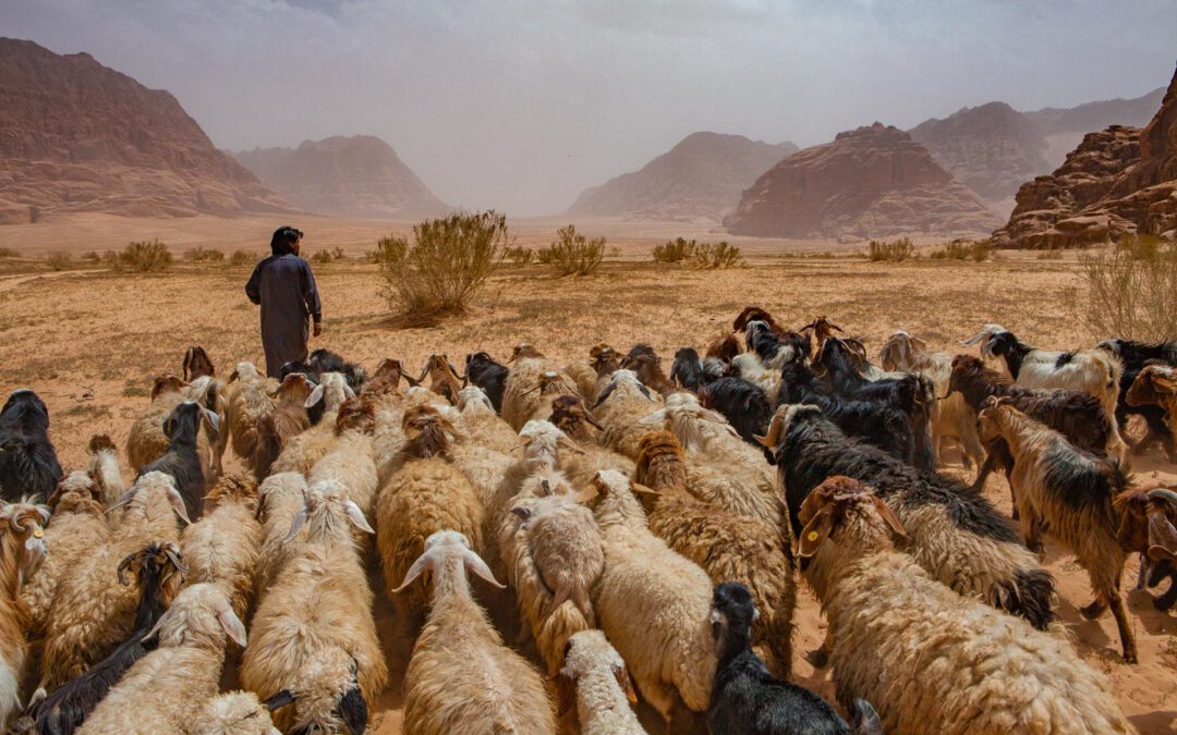 Jordanien Fotogalerie