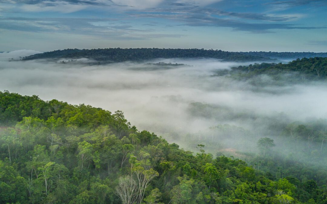 Brasilien Fotogalerie