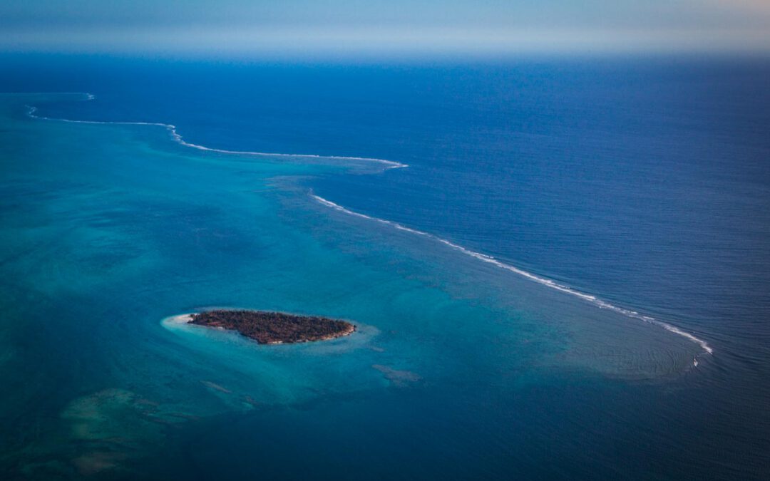 Neukaledonien – Südsee mit ertrunkenem Wald und Mangrovenherz