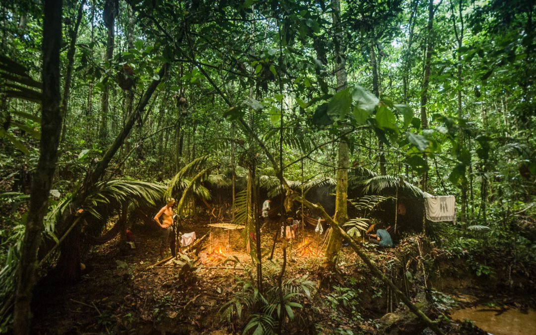 Amazonas für Anfänger