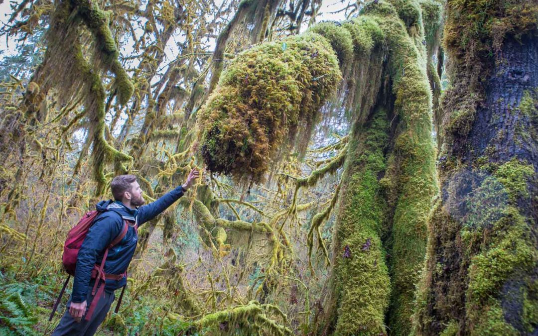 Olympic National Park photo gallery