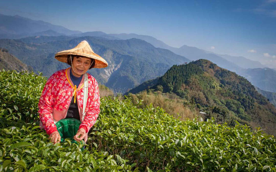 From temples and towers in Taipei to gorges and forests