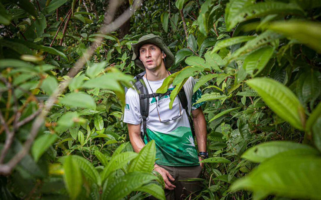 The jungle that swallowed an empire