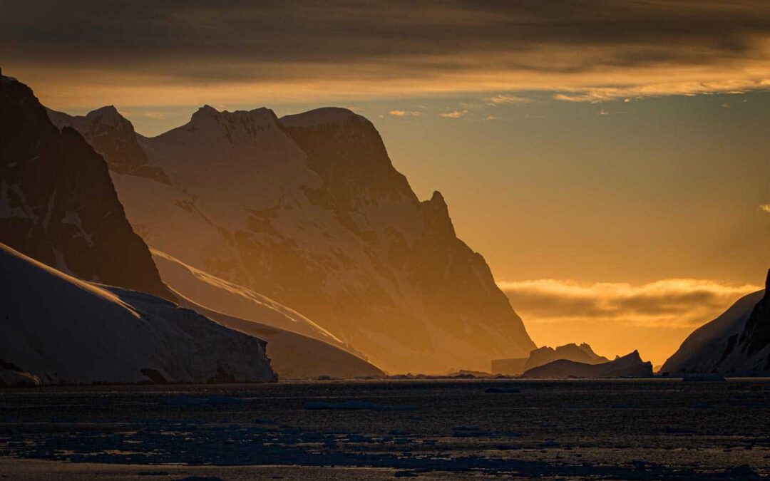 Singing icebergs, talented orcas, infinite silence